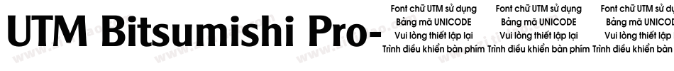 UTM Bitsumishi Pro字体转换